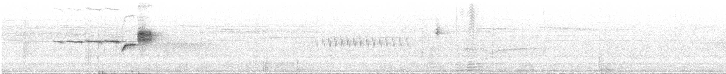 Paruline à gorge noire - ML644621192