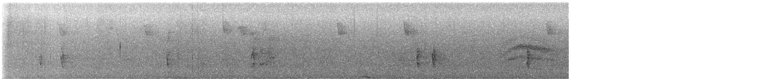 Hermit Thrush - ML644621438