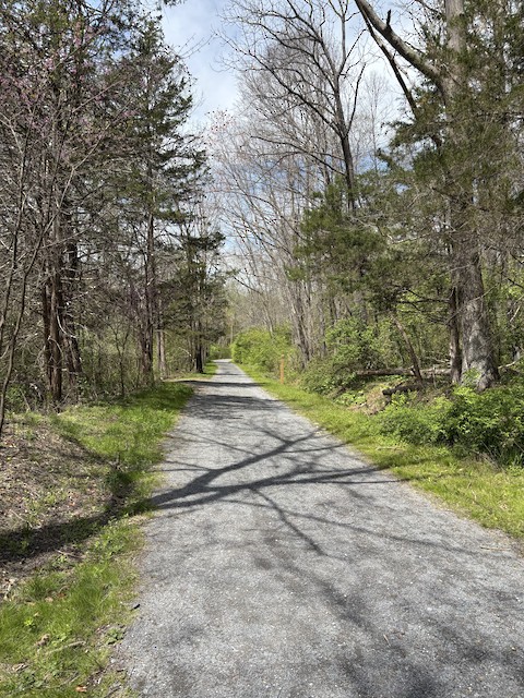 Little Bennett RP--Wilson Mill Trail, Montgomery, Maryland, United