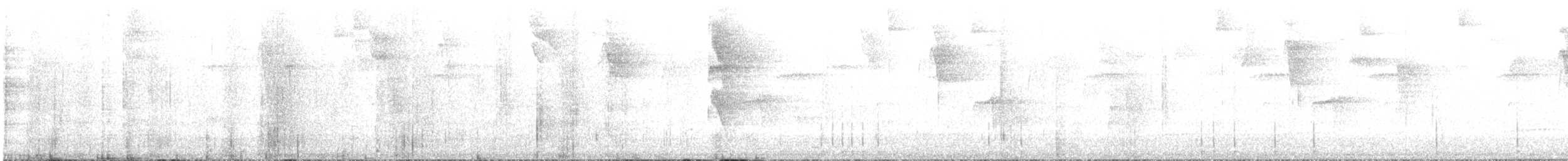 Platyrhynque à moustaches - ML644622343