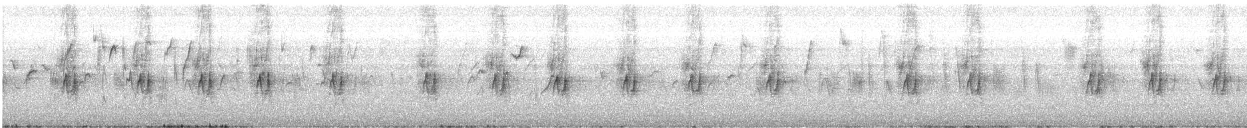 Gorrión Común - ML644622417