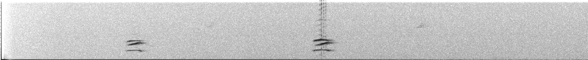 Campina Thrush - ML644623096