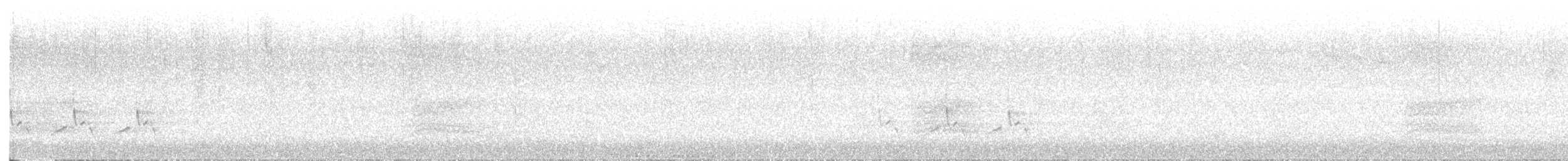 Cucarachero de Carolina - ML644624688