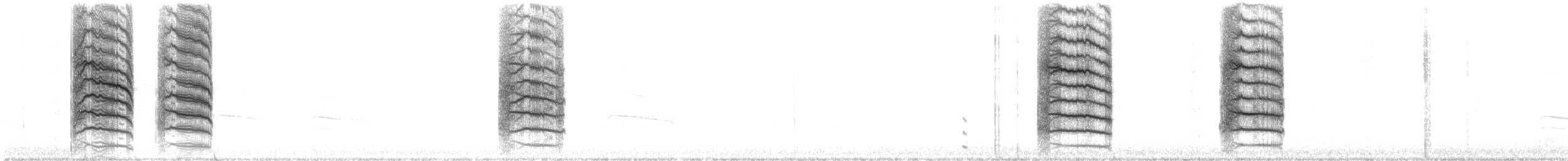 Northern Mockingbird - ML644626445