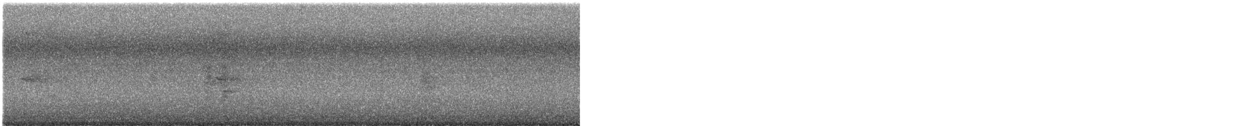 Lesser Crested Tern - ML644626664