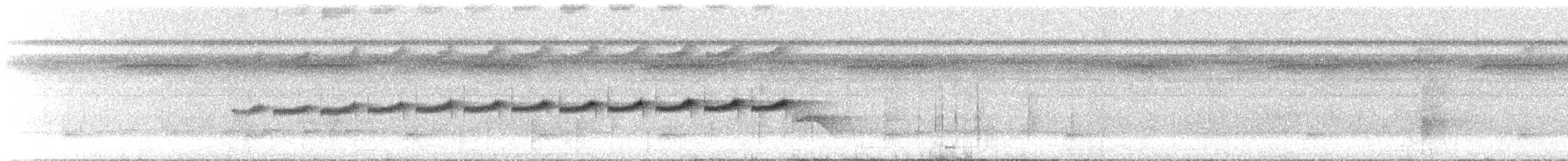 Gray-bellied Antbird - ML644626887