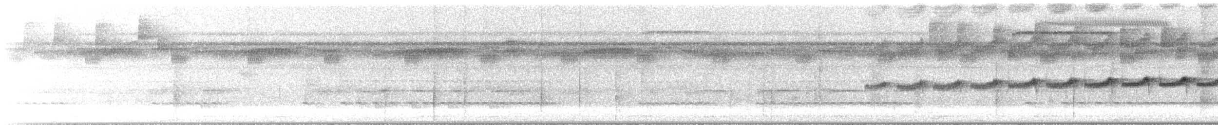 Gray-bellied Antbird - ML644626888