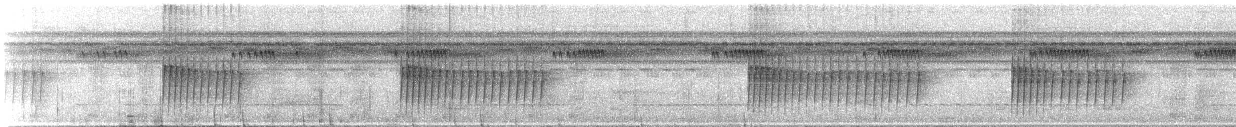 Gray-bellied Antbird - ML644626889