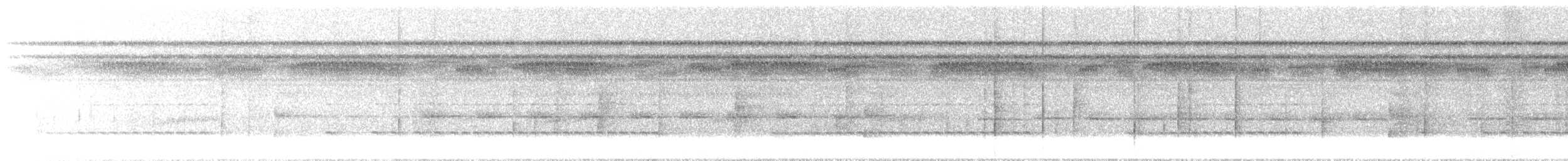 Gray-bellied Antbird - ML644626890