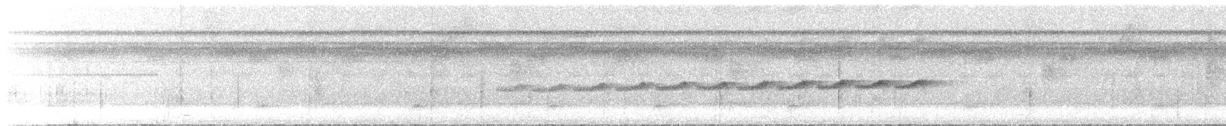 Gray-bellied Antbird - ML644626891