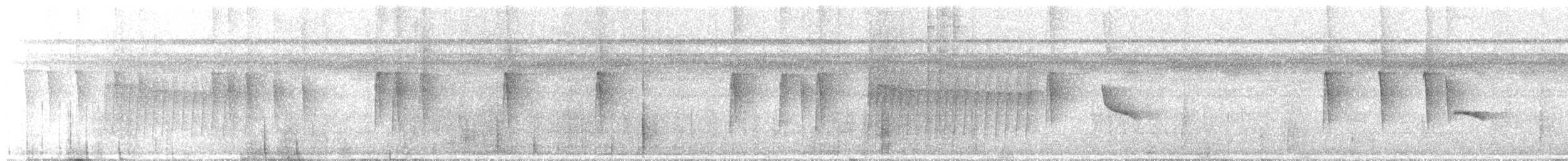 Gray-bellied Antbird - ML644626892