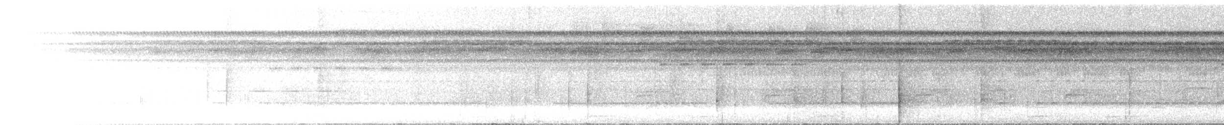 Gray-bellied Antbird - ML644626893