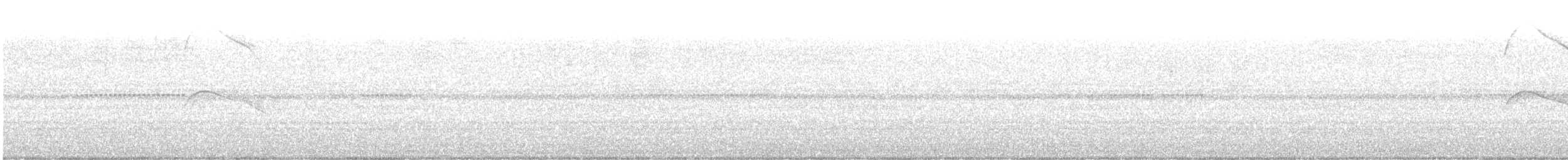 White-tailed Nightjar - ML644627902