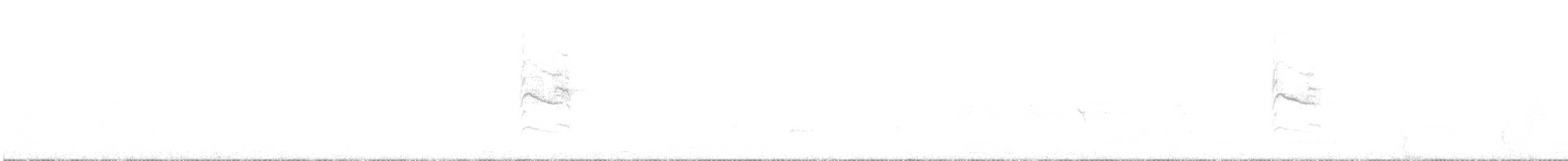 Collared Sunbird - ML644630419