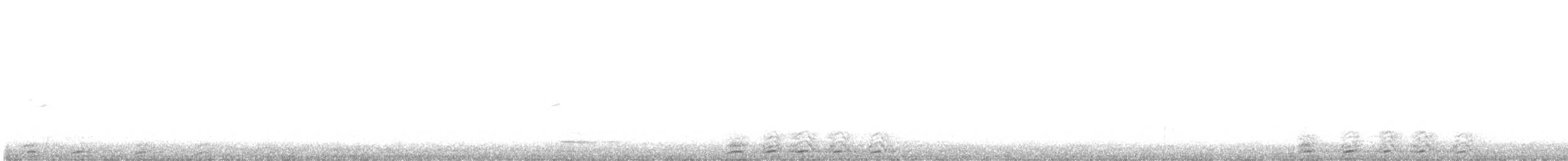 Greater Yellowlegs - ML644630742