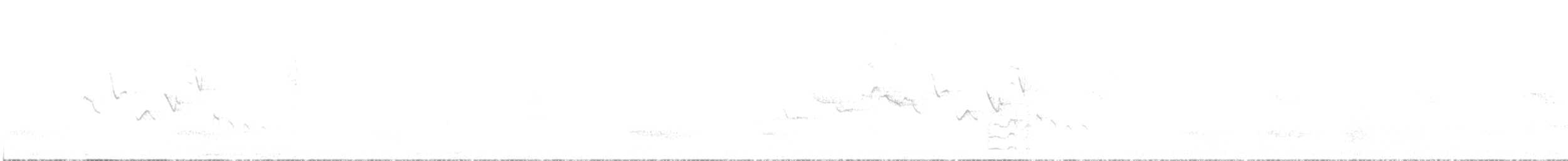 Yellow-fronted Canary - ML644630809