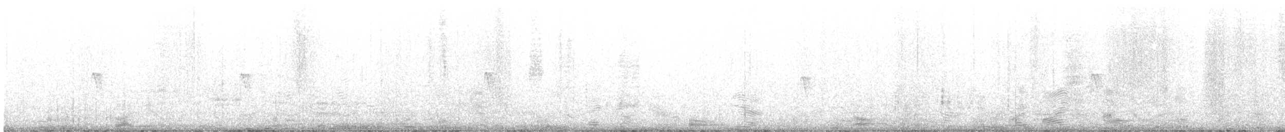 Black Phoebe - ML644630844