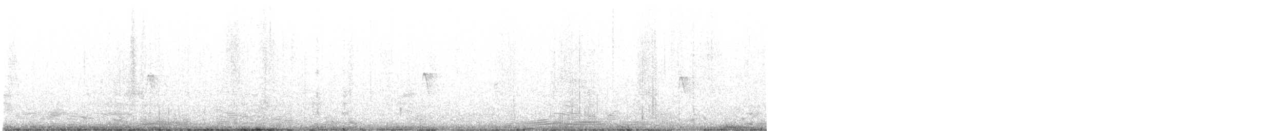 Black Phoebe - ML644630848