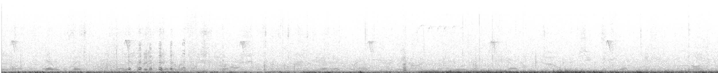 Black Phoebe - ML644630862