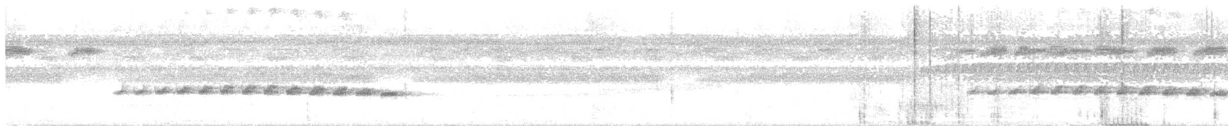 Black-faced Antbird - ML644632072