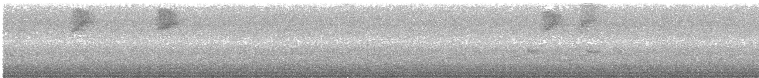 ub. spurvefugl (Passeriformes sp.) - ML644632146