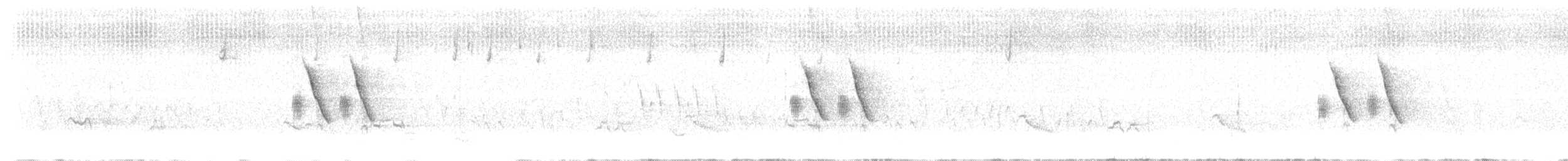 Spotted Towhee - ML644632353