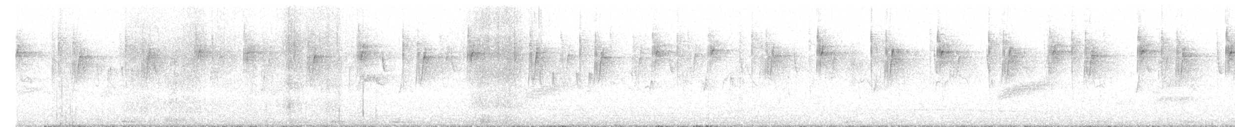 Colibrí Verdemar Mexicano - ML644632683