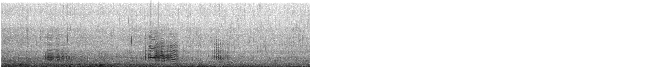 Pied Cormorant - ML644633903