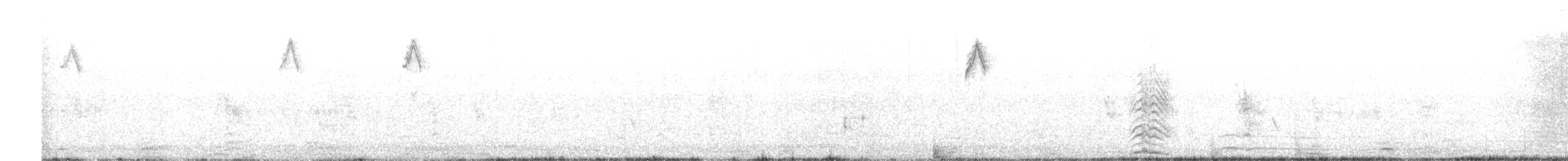 Mokolodi arrunta - ML644634111