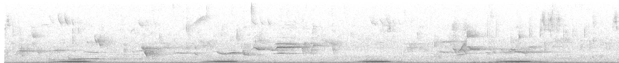 Common Bronzewing - ML644634661