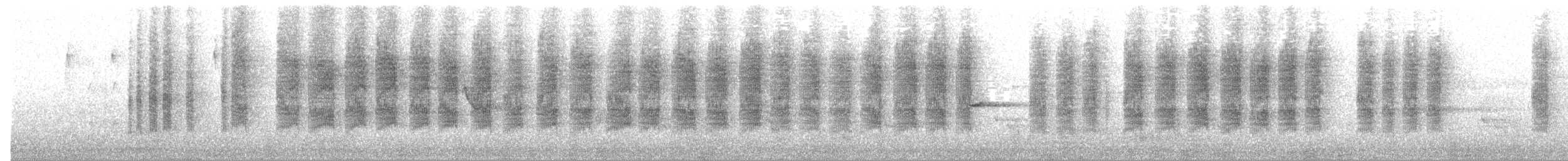 Tasmanian Scrubwren - ML644634673