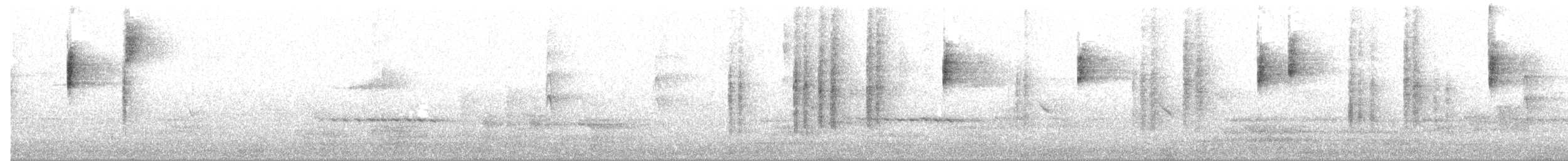 Tasmanian Scrubwren - ML644634674