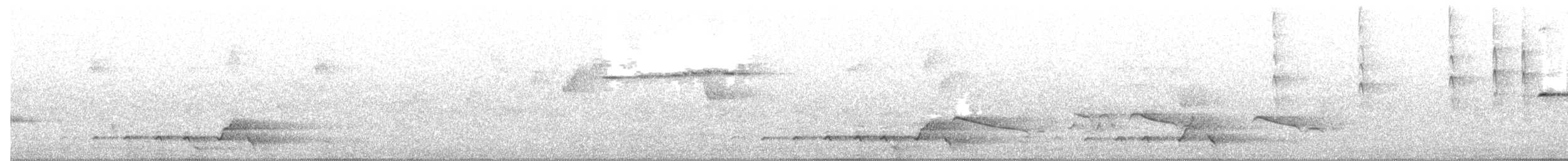 Gray Shrikethrush - ML644634676