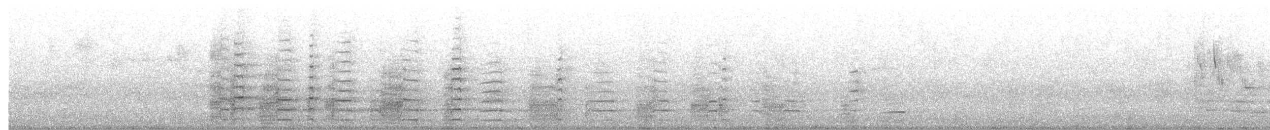 Black Currawong - ML644634684