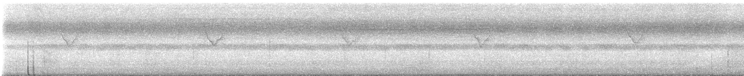 Yellow-browed Warbler - ML644634864