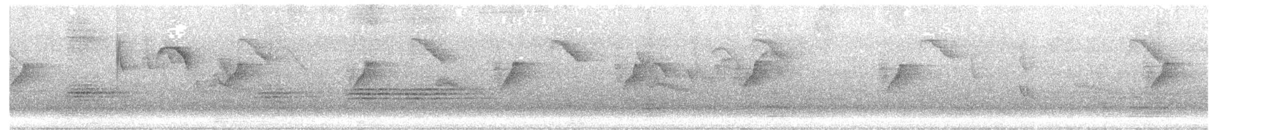 Purple-rumped Sunbird - ML644635051