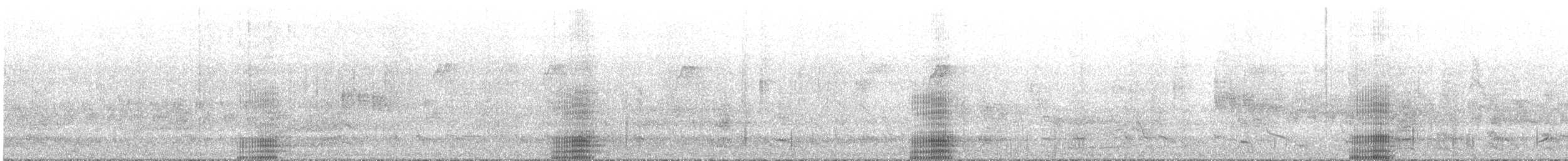 Cape Barren Goose - ML644635762