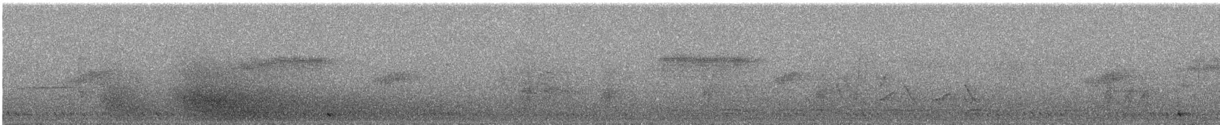 Pallaswasseramsel - ML644635876