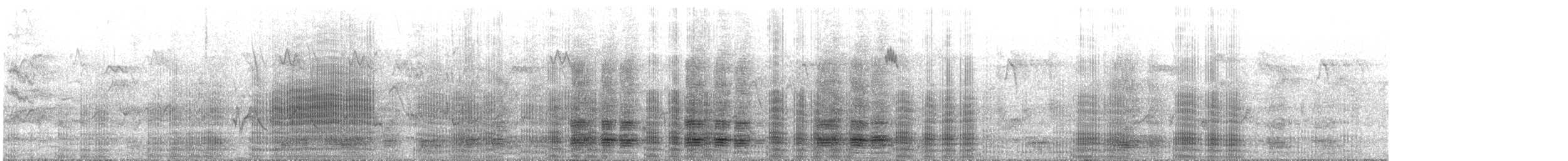 Hühnergans - ML644635885