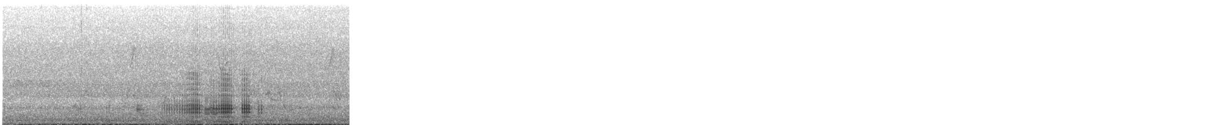 Ganso Cenizo - ML644635899