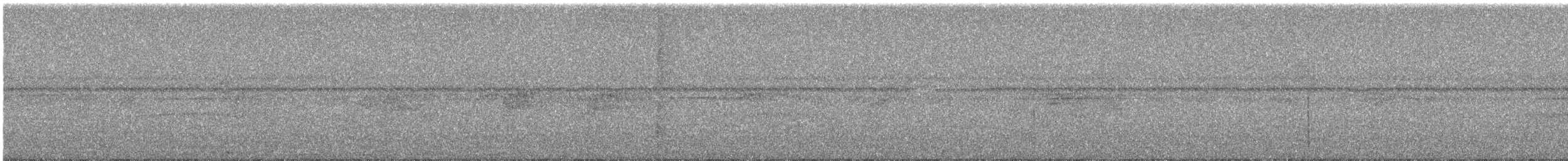 Mirlo Acuático Pardo - ML644635903