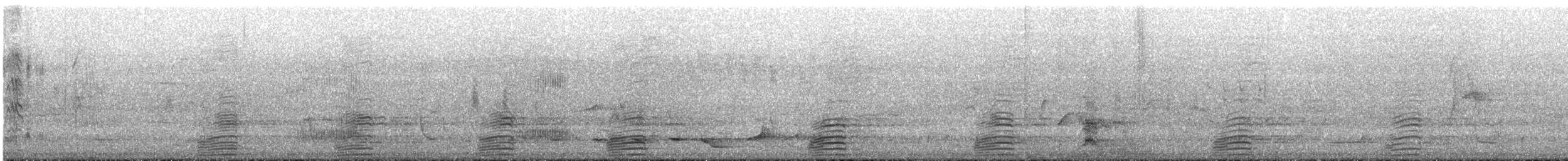 Kastanienente - ML644635931