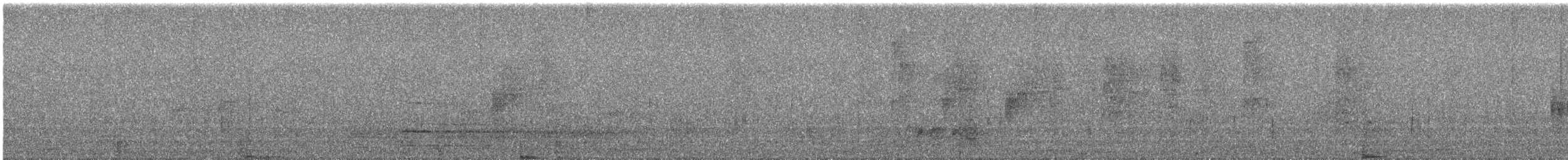 אמודאי אסייתי - ML644635979