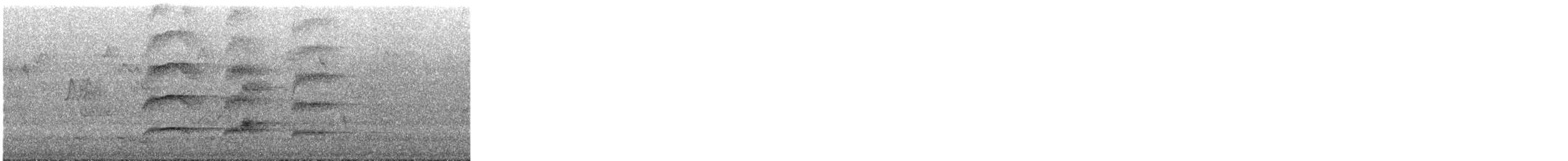 Dusky Moorhen - ML644636012