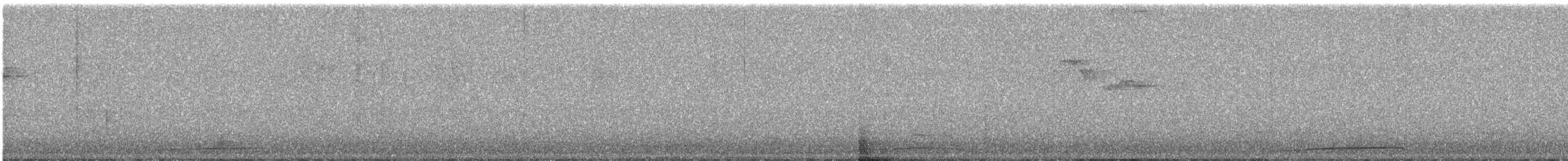 Whistling Green-Pigeon - ML644636167