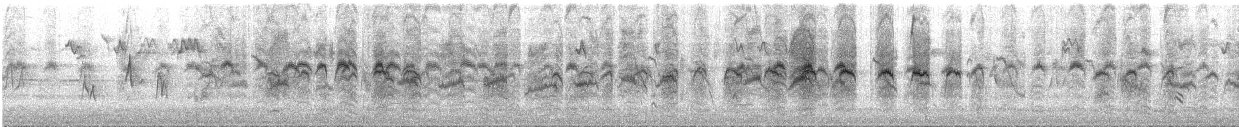 Red-browed Firetail - ML644636183