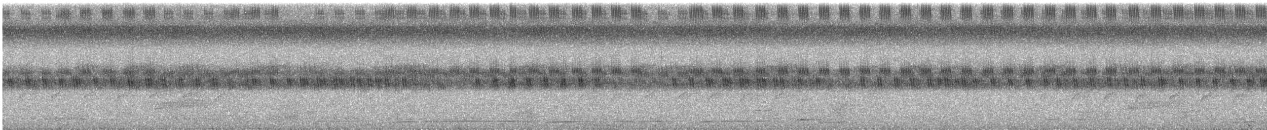 Whistling Green-Pigeon - ML644636267