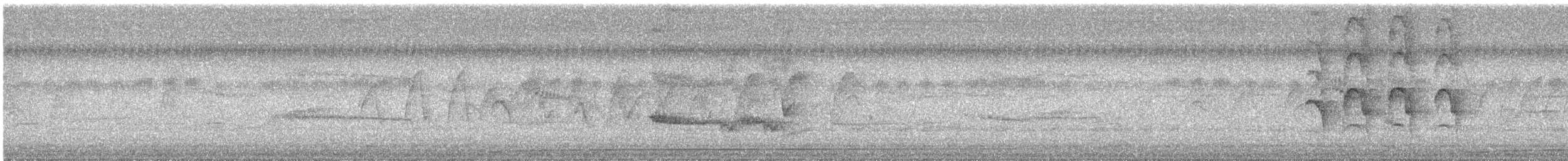 Whistling Green-Pigeon - ML644636294