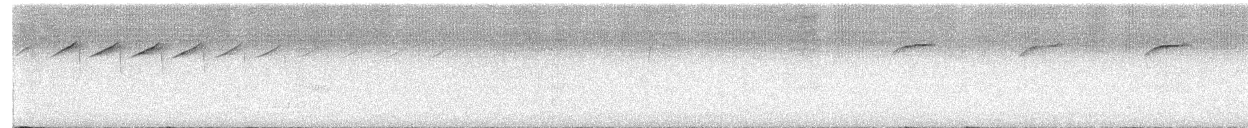 Spotted Quail-thrush - ML644636673