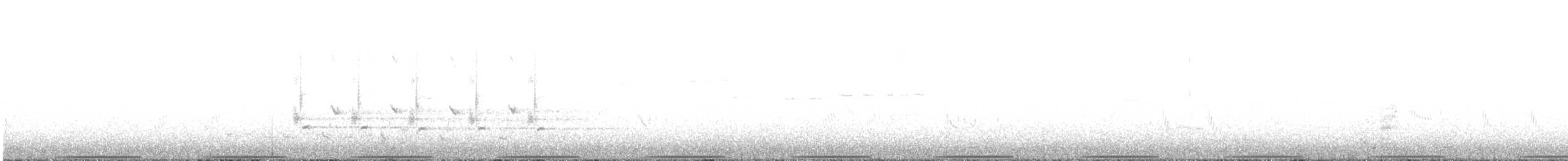 Painted Buttonquail - ML644636778